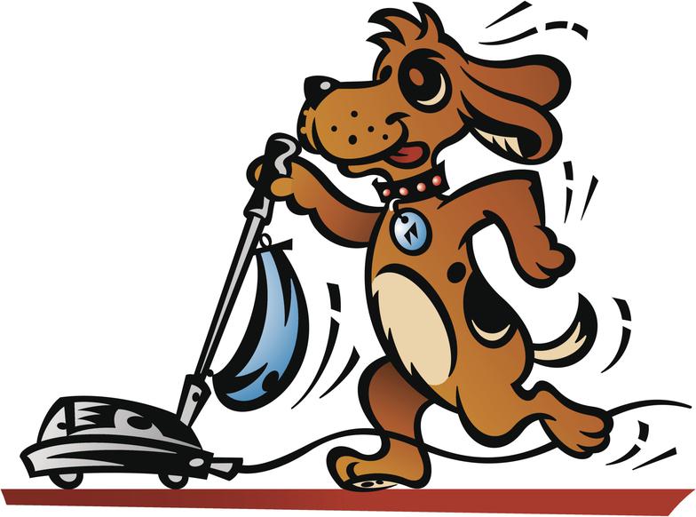 Best Pooper Scooper Local Waste Pet Removal Experts Dallas, TX 75225